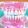 5 müüti ehk mida sa senimaani hambaid hooldades oled valesti teinud?