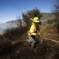 Tuletõrjujad on Kanaari saarte metsapõlengust jagu saamas