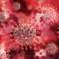 Во Франции обнаружен новый вариант коронавируса