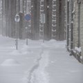 Ужесточаются требования к уборке таллиннских улиц