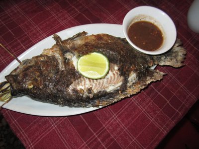 Mekongi kala, üks lemmikroogadest Laoses.