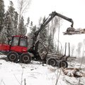 Norstati uuring: metsa- ja puidutööstust peab Eesti majandusele oluliseks 80% vastanutest