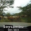 VIDEO | Kitsad teed ja lehmakarjad: just sellised näevad välja Keenia MM-ralli katsed