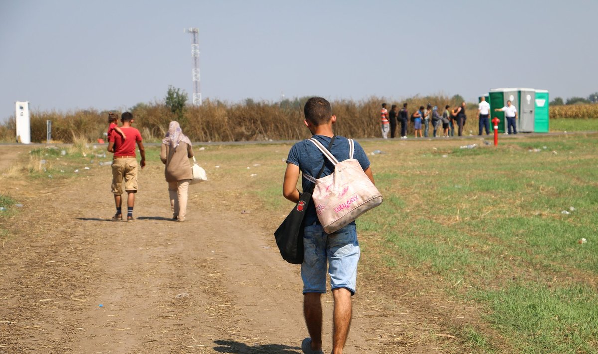 Sisserändajad 2015. aastal Serbia-Ungari piiril