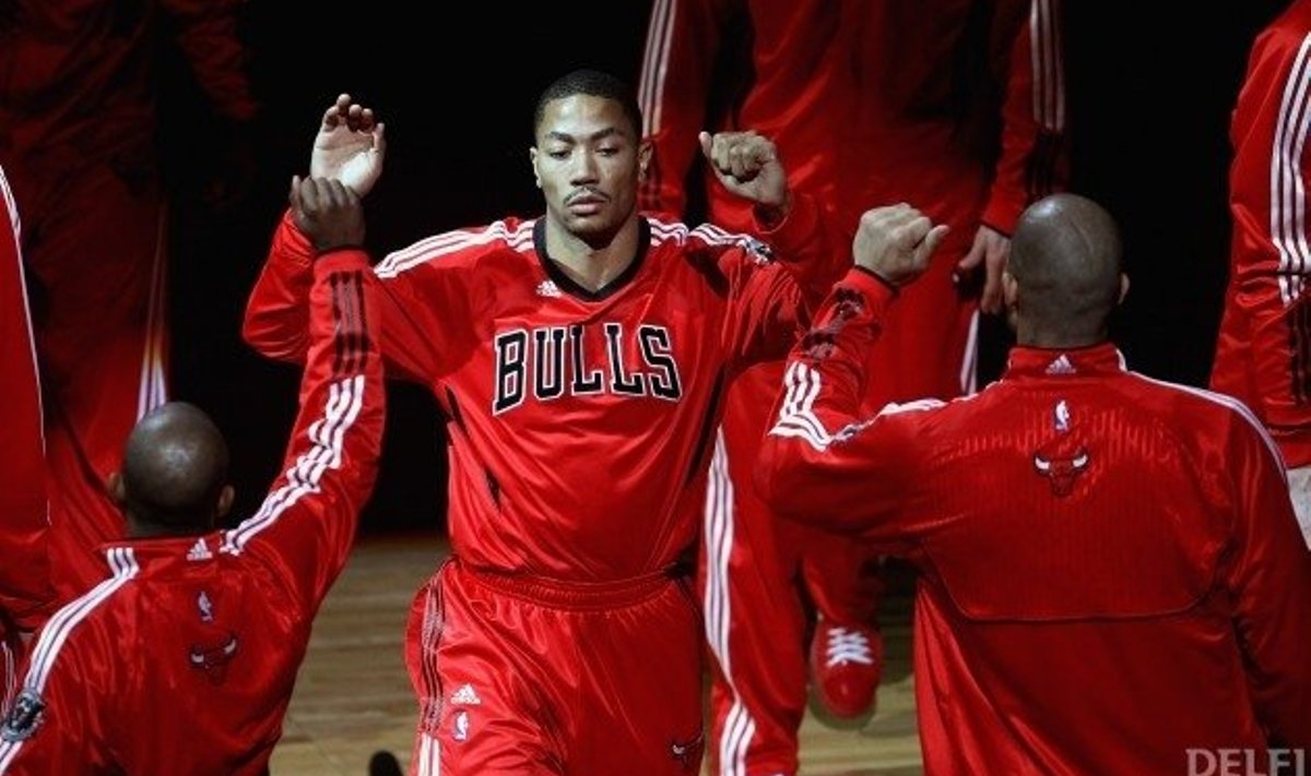 Derrick Rose, Chicago Bulls, NBA