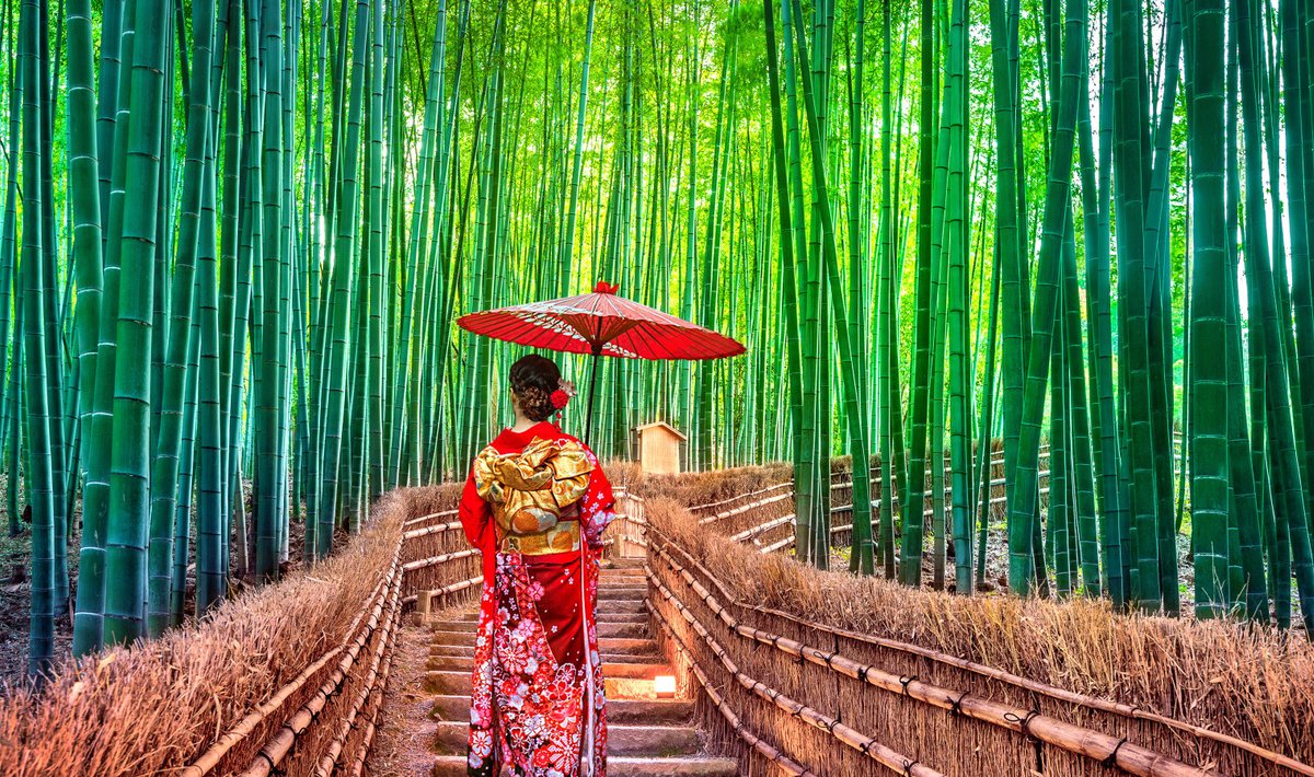Bambusemets Jaapanis Kyotos