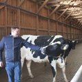 Eesti parimaks piimatootjaks sai Taani farm