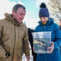 FOTOD | President Kersti Kaljulaid asustas Narva jõkke 200 noort tuura