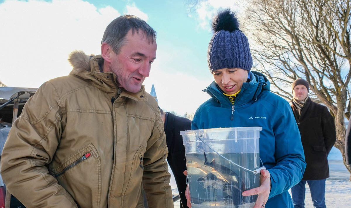 President Kersti Kaljulaid poetas Narva jõkke 200 tuura