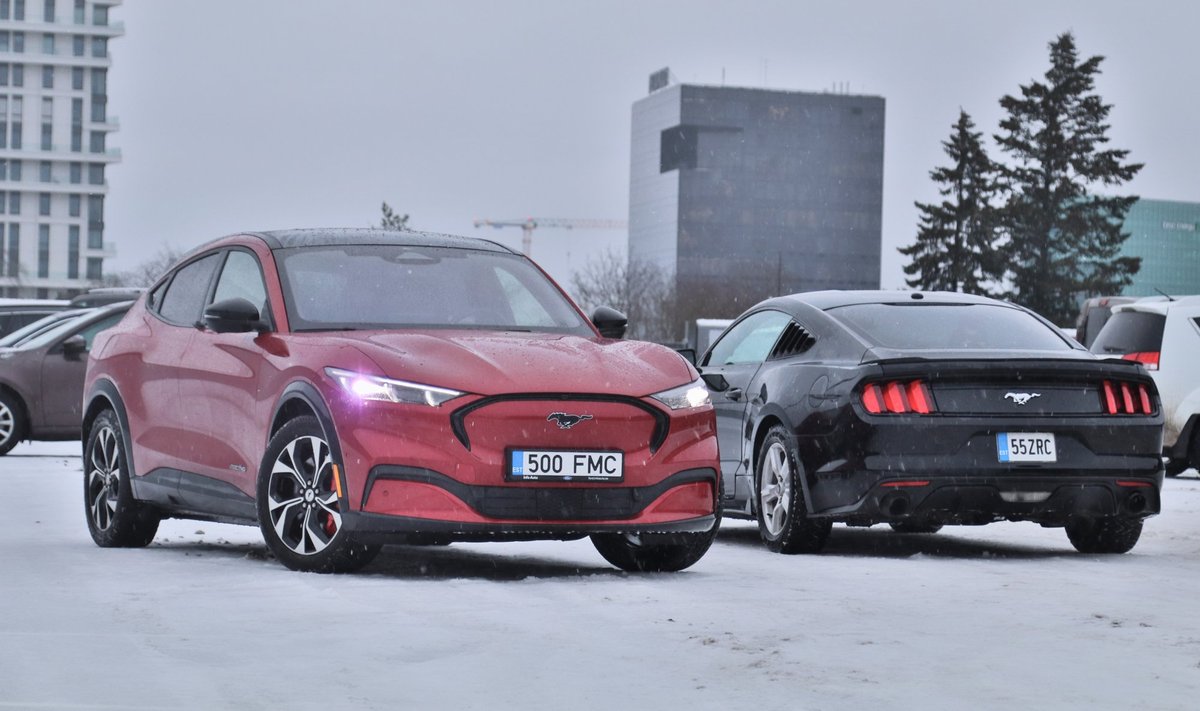Ford Mustang ja Mach-E