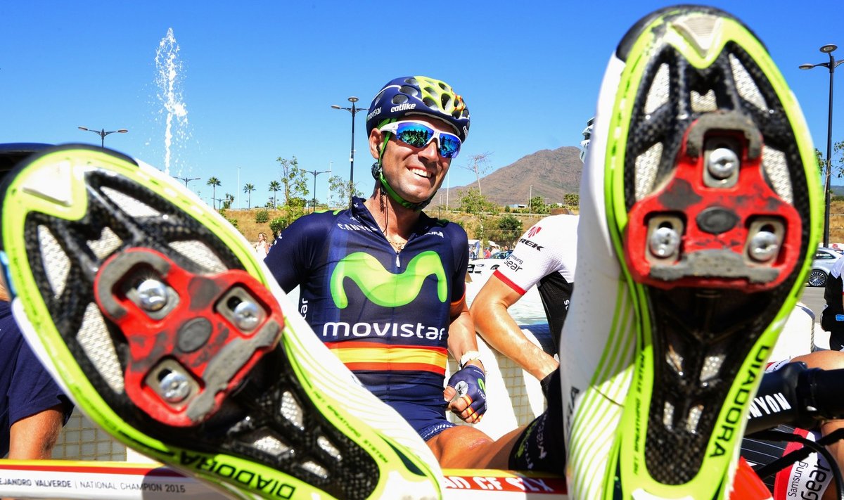 Movistari liider Alejandro Valverde jalgu sirutamas