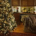 Fotovõistlus „Pühad minu kodus“ | Jõulumeeleolus kaunistatud aknad hubases kodus
