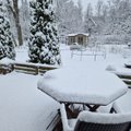 OTSEBLOGI | Tänase ööga sadas mõnel pool Eestis maha kuni 20 cm lund