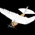 VIDEO | Teadlased ehitasid sulgedega drooni, mis lendab nagu lind