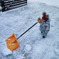 ФОТО | Машины почистили, сына на лопате покатали! Как жители Эстонии справляются со снегопадом