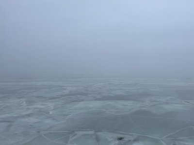 В результате оттепели морской лед в проливе Соэла начал трескаться, сильный западный ветер несет льдины в порт Трийги.