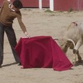 VIDEO | Jõhkrus või meelelahutus? Hispaania loomakaitsjad jäädvustasid piinamise härjavõitlusareenil