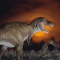 Õudusfilmimaterjali: türannosauruse hammustus purustaks auto
