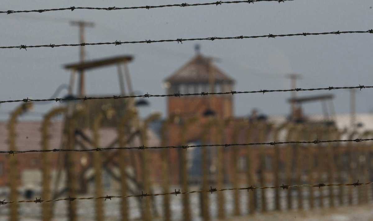 A view of former Nazi death camp of Auschwitz Birkenau during the marking the 67th anniversary of the liberation of the camp