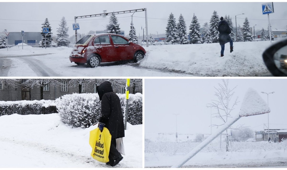 ФОТО | Прекрасная зимняя погода или повышенная опасность? Волшебный снежный  ковер укрыл Эстонию и вызвал множество ДТП - Delfi RUS