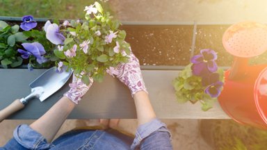 Ettevaatust kortermaja rõduga: naabritel on õigus dikteerida, kuidas ja milliseid taimi seal kasvatada võib