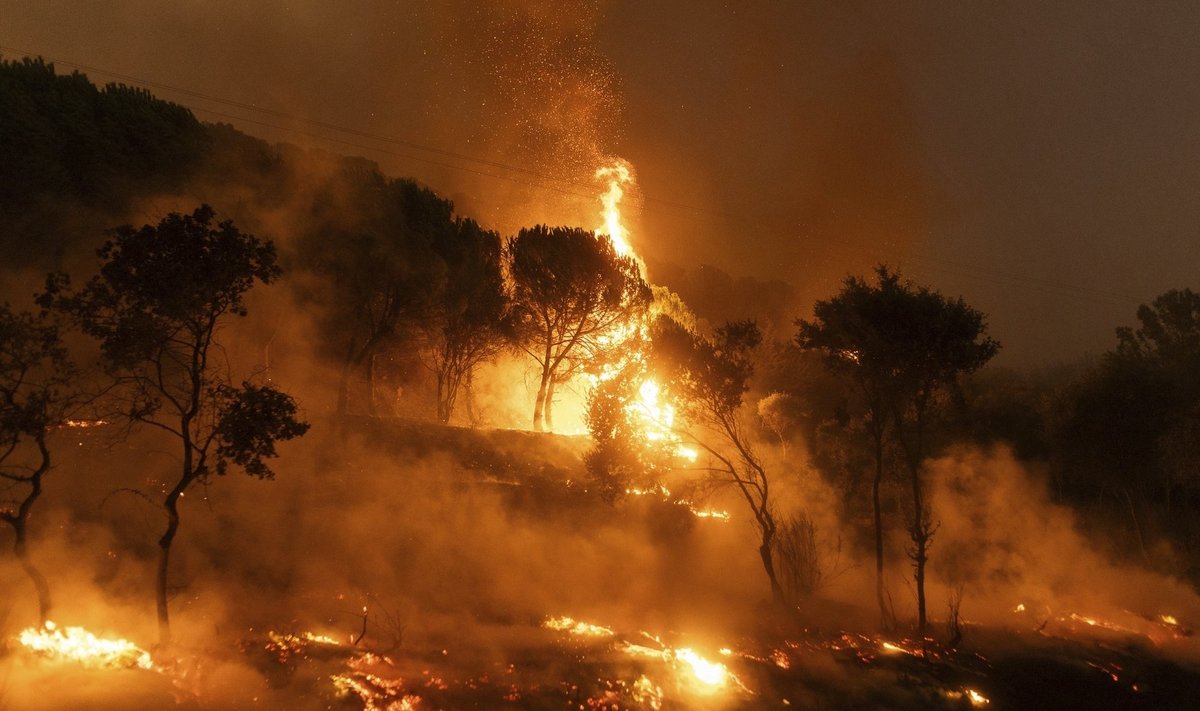 Mullu Kreekas Alexandroúpoli linna lähedal toimunud tulekahju oli Euroopas viimase 40 aasta suurim põleng.