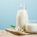 Какое молоко полезнее — коровье или растительное? Польза и вред для организма