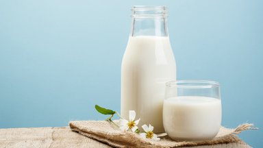Какое молоко полезнее — коровье или растительное? Польза и вред для организма