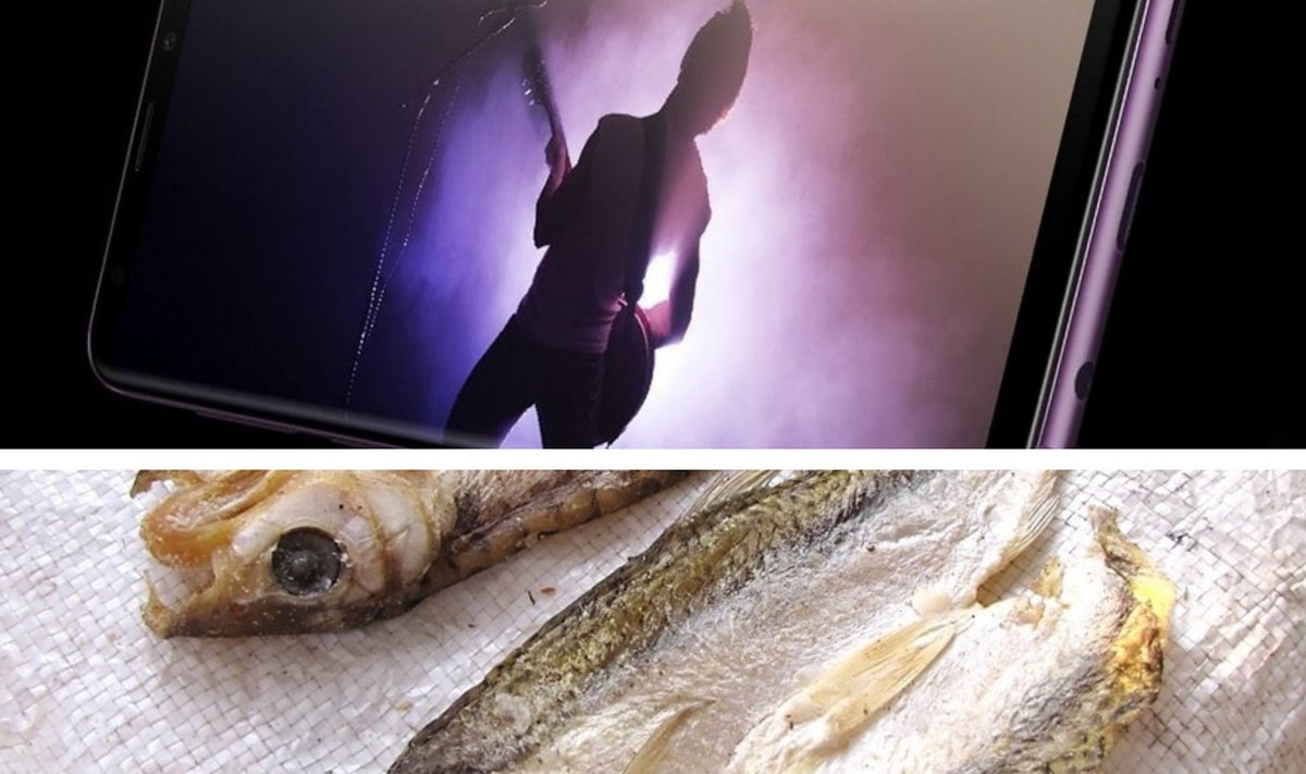 Foto: kollaaž (üleval tootjafoto telefonist Galaxy S9, all Wikipedia / T.K. Naliaka foto kuivatatud kaladest)