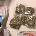 ФОТО И ВИДЕО DELFI: Налоговая накрыла банду наркоторговцев: изъяли 900 гр кокаина и 28 кг марихуаны