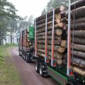 Tselluloosihiid ostis Lätis hiiglasliku koguse metsa