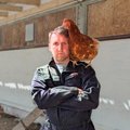 Kana-Tanel läheb Eesti riigi vastu kohtusse: üks linnuke röövis tuntud munatootjalt suisa 18 000 eurot