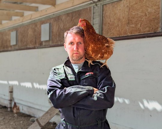 Kana-Tanel annab riigi kohtusse: üks linnuke röövis munatootjalt 18 000 eurot