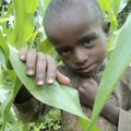 Elust Ugandas: ja kus on sinu neli last?