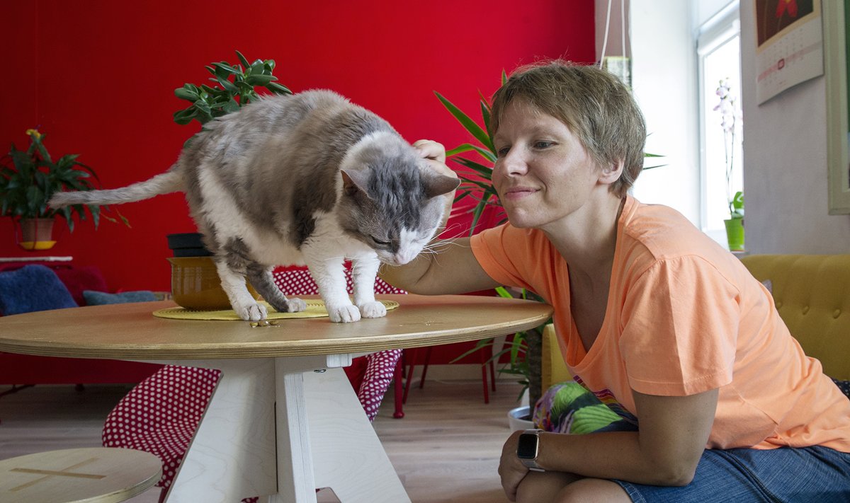 KASS, KEDA KEEGI EI TAHTNUD: Kunstnik Eva Sepping tõi Hipsteri varjupaigast, kus kass oli enne uue kodu leidmist veetnud ligi aasta.