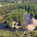Таллинн намерен взять под локальную защиту часть леса Харку