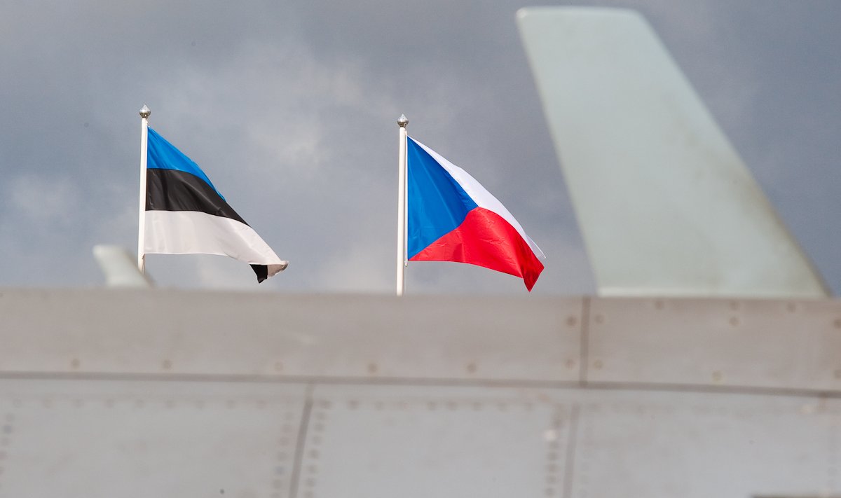 Флаги Эстонии и Чехии. 