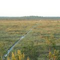 Maa, armastan sind: Eesti looduse arengulugu