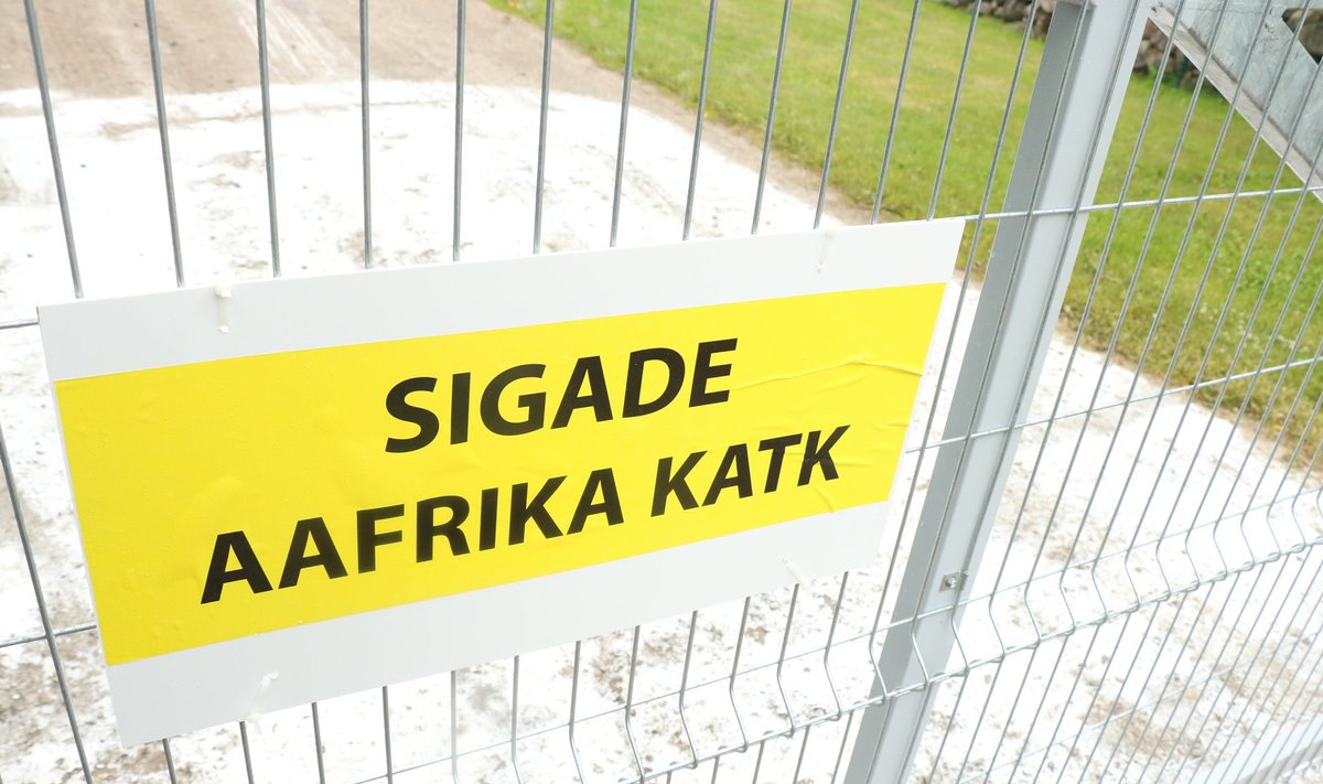 Aafrika sigade katk Saaremaal, Tagavere seafarmis
