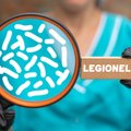 Terviseamet hoiatab: sooja vee temperatuuri langetamine jaotusvõrgus loob soodsad tingimused „Legionella“-bakteri paljunemiseks