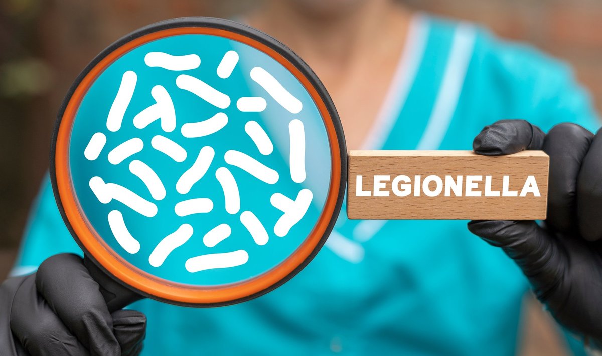 "Legionella"-bakter põhjustab ägeda kuluga nakkushaigust, mis 5–15% juhtudest lõppeb surmaga.