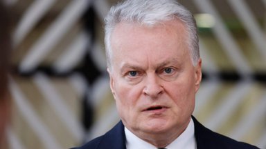 Президент Литвы сообщил о задержании в Польше двоих подозреваемых по делу об избиении Волкова 