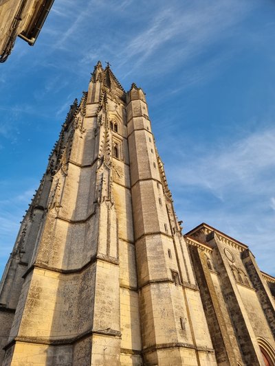 Katedraal