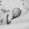 LUMMAVAD FOTOD | Fotograafil tuli sündiv beebi endal vastu võtta: astusin tuppa, polnud ei isa ega ämmaemandat...