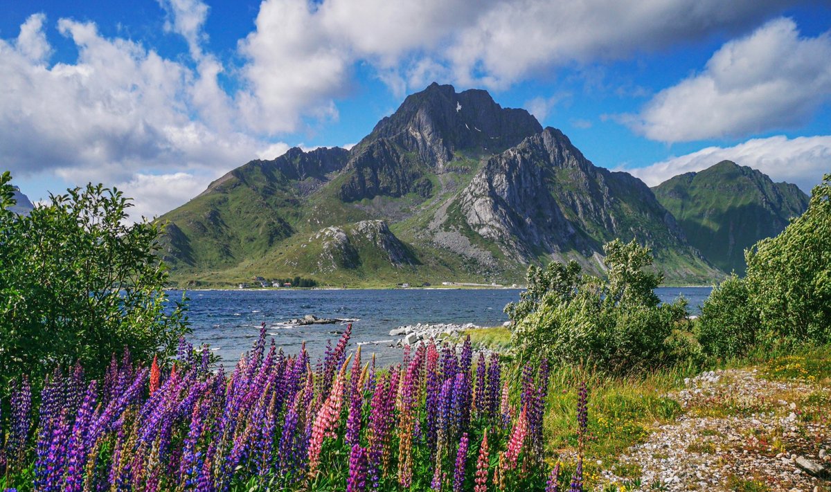 Norra saar Flakstad