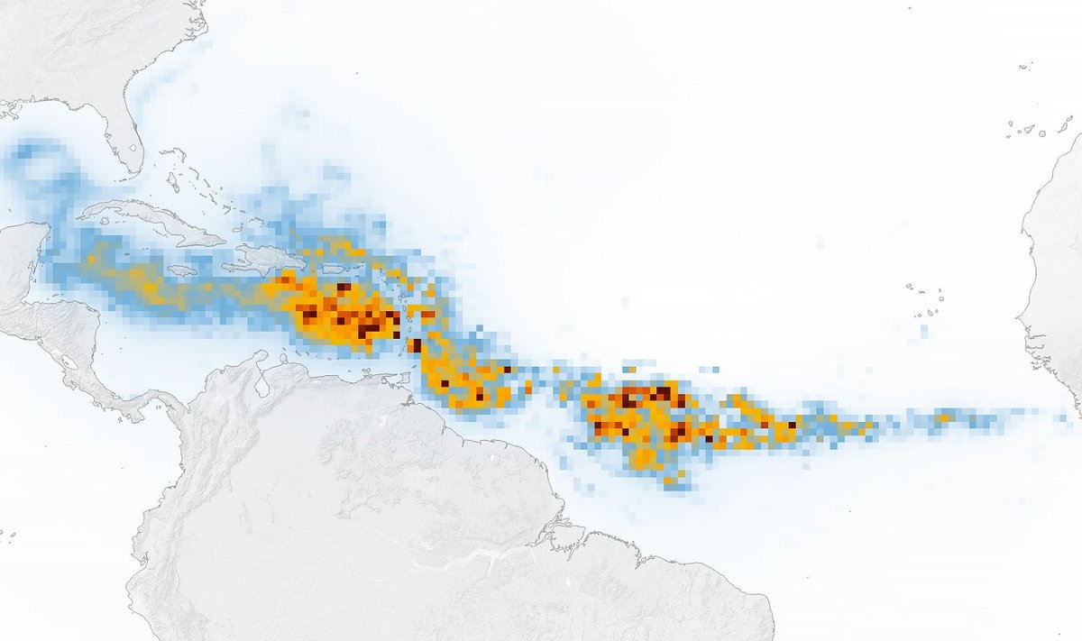 Pruunvetika õitseng ulatub Mehhiko lahest kuni Lääne-Aafrika rannikuni. Punastel ja oranžidel aladel on vetikat enim.