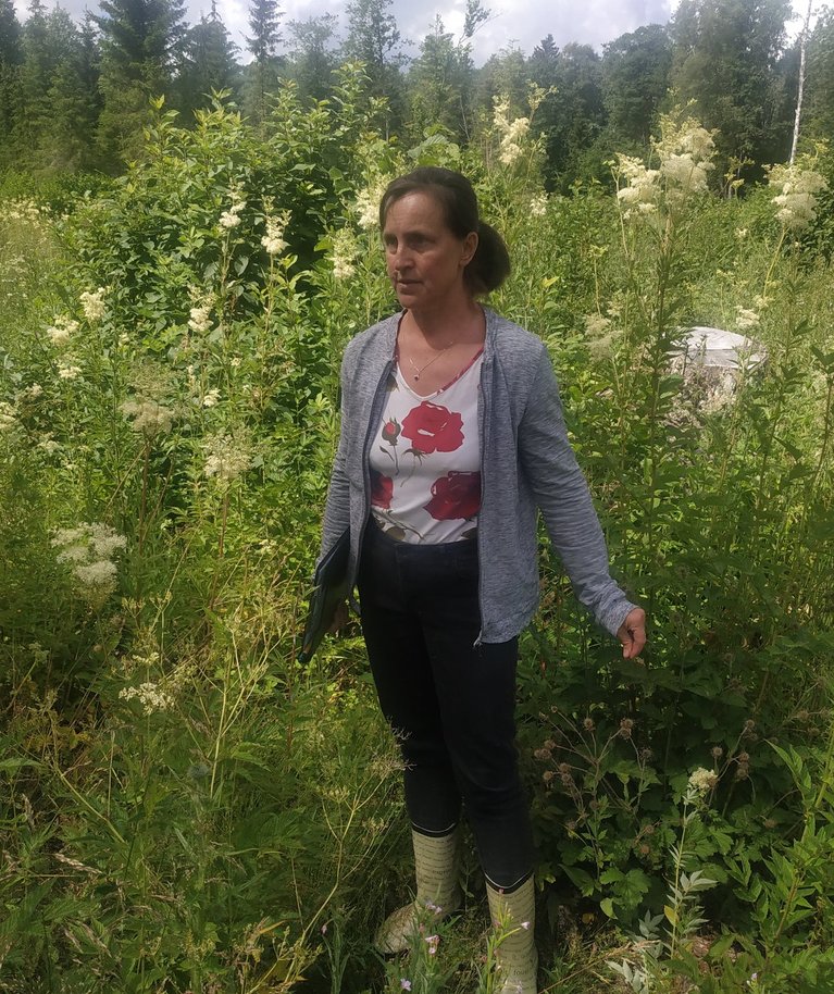 Sellel Ly Kokla metsaeraldisel lammutas saaresurm ja midagi päästa enam ei andnud.