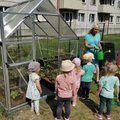 Rohelise Kooli programm toob keskkonnahariduse koolidesse ja lasteaedadesse