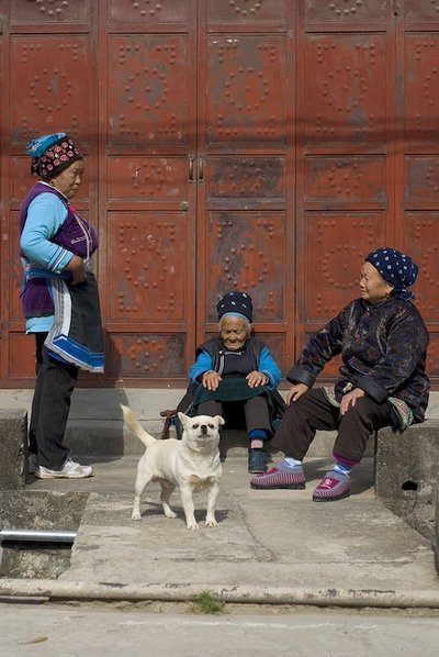 Kolm daami koeraga. Hiina 2013.