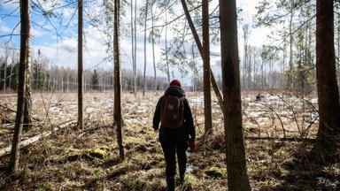 SPETSIALIST VASTAB | Kas võõrad võivad minu metsa vääriselupaigas jalutada?